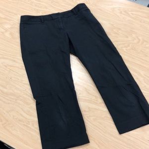 Express Columnist Pants